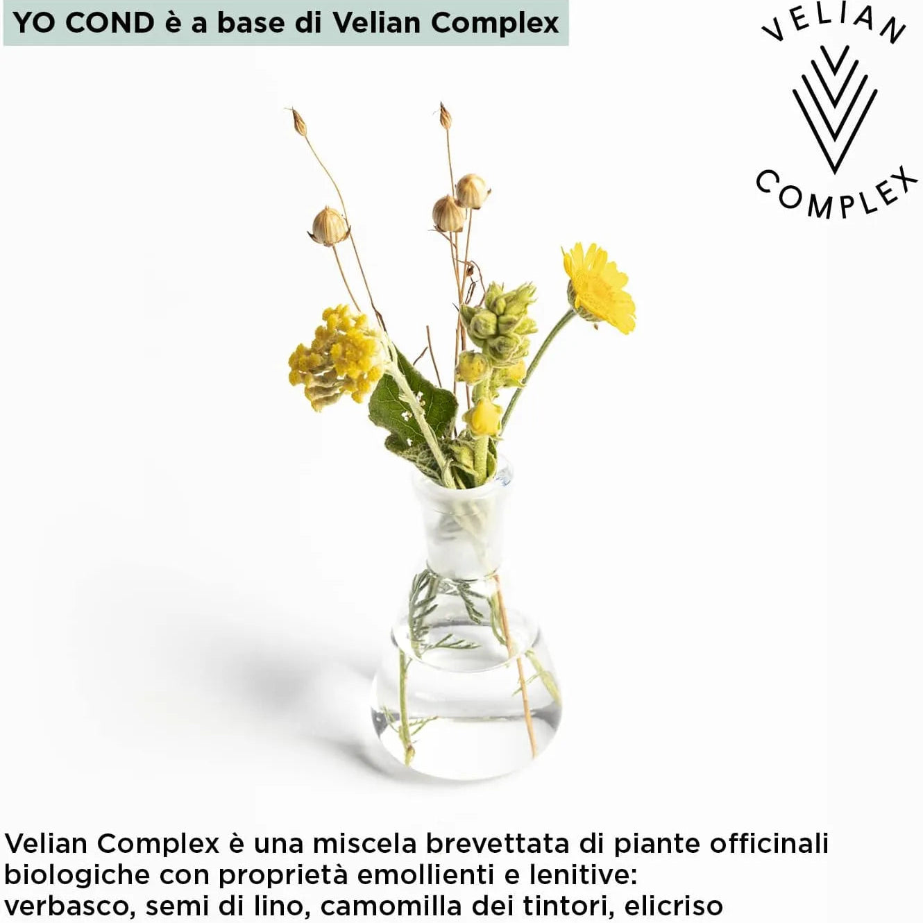 KEMON YOCOND COLOR SYSTEM - Yo Cond Rame