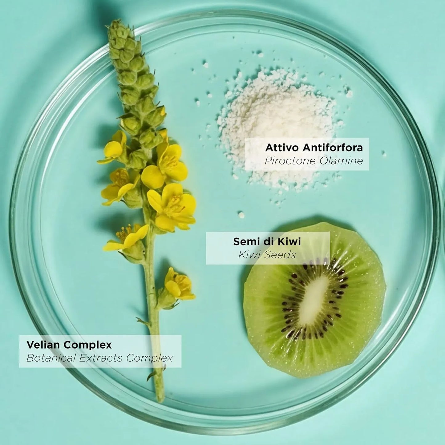KEMON HAIRCARE - Healthy Scalp Kiwi Scrub
