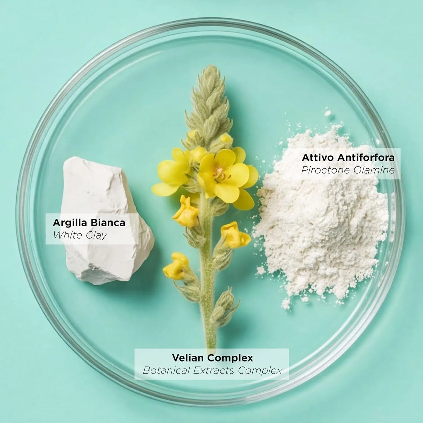 KEMON HAIRCARE - Purity Scalp Clay