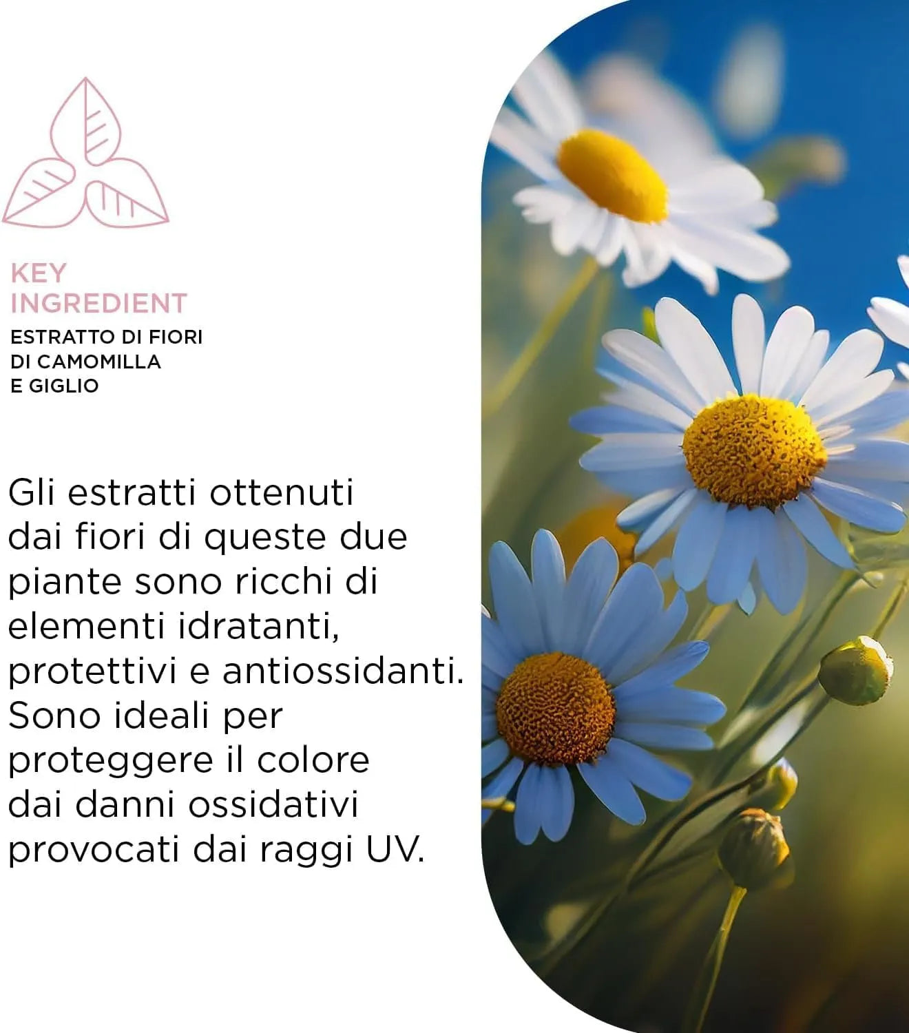 KEMON HAIRCARE - Color Shampoo