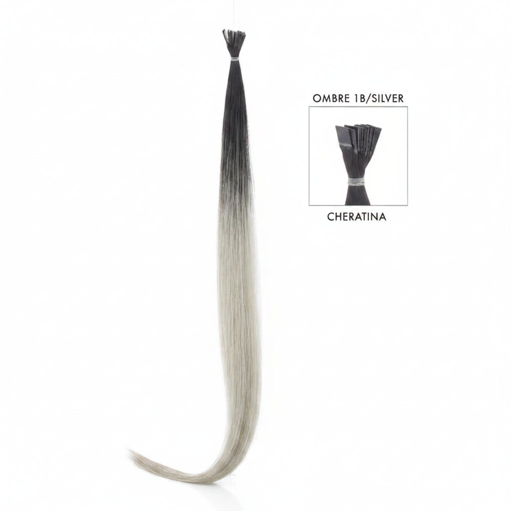 DI BIASE HAIR - Cheratina Ombre | 1B Silver