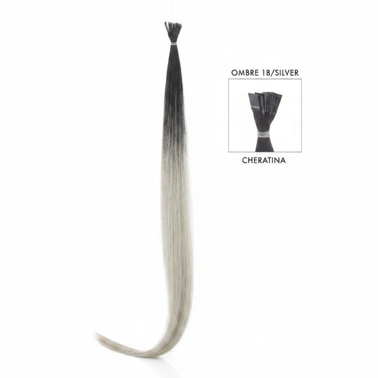 DI BIASE HAIR - Cheratina Ombre | 1B Silver